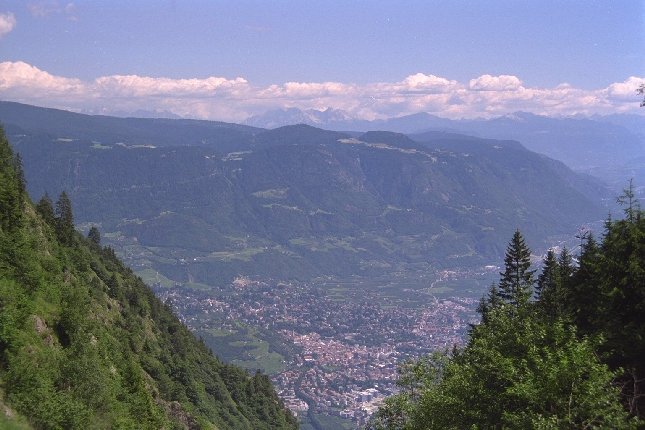 Der Vellauer Felsenweg zieht sich am Hang entlang und ist ein wunderbarer Wanderweg!