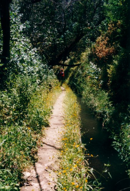 Wildromantische Levada