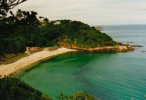 Hinter dem ganzen Grün kann man schon Castle Cornet erkennen